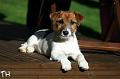 100926_lilli 4 kk
